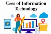Uses of Information Technology (IT): Definition, Examples & Applications in Daily Life